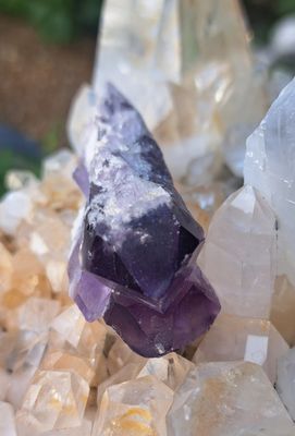 Amethyst Triple Point Wand