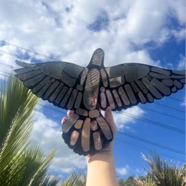 BIRD PROFLECTOR