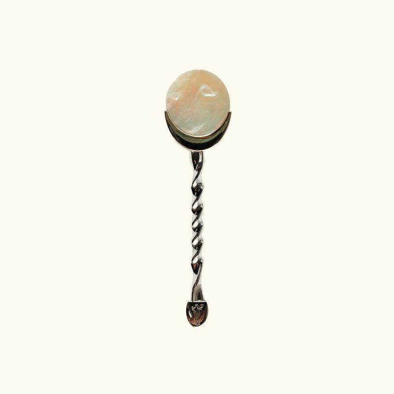 Mother of Nature Spoon with Metal