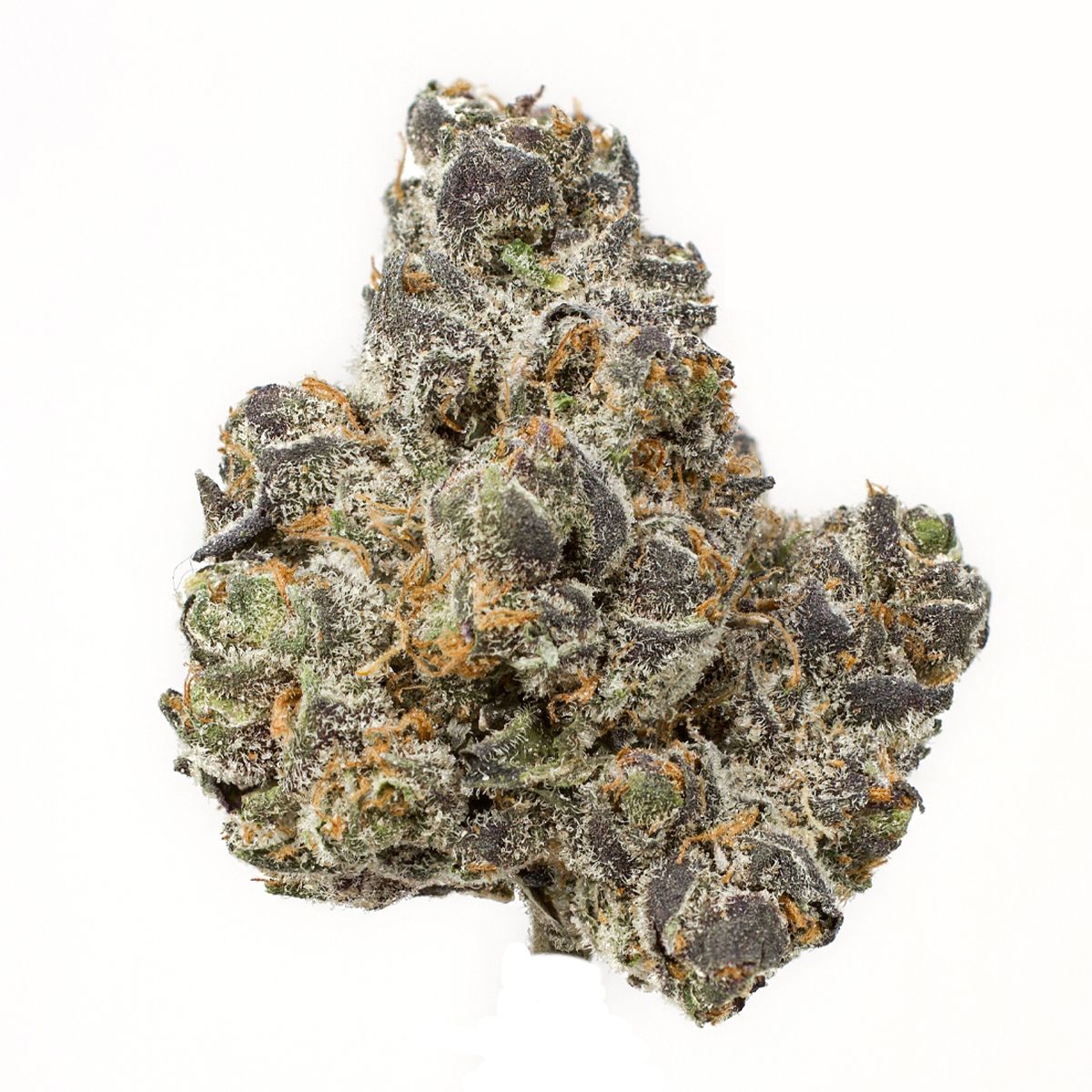 AppleFritter THCA Flower  1LB