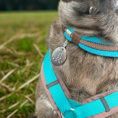 Heilsymbol der Plejader - Shungit Anhänger für Frauchen und Hund