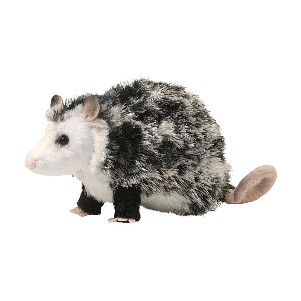 Douglas - Oliver Possum