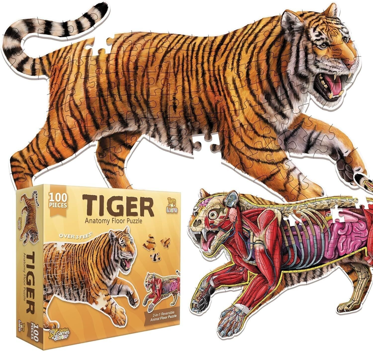 Tiger Anatomy Floor Puzzle