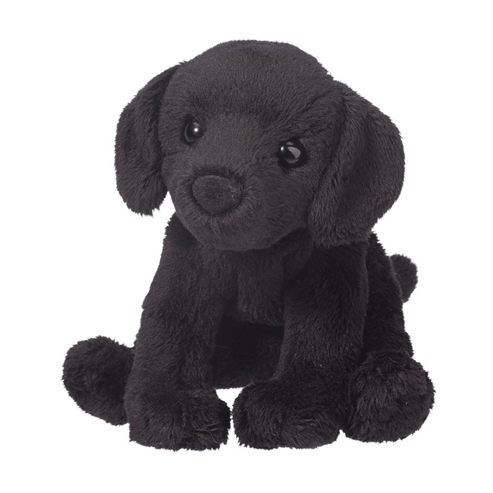 Lucy Black Lab