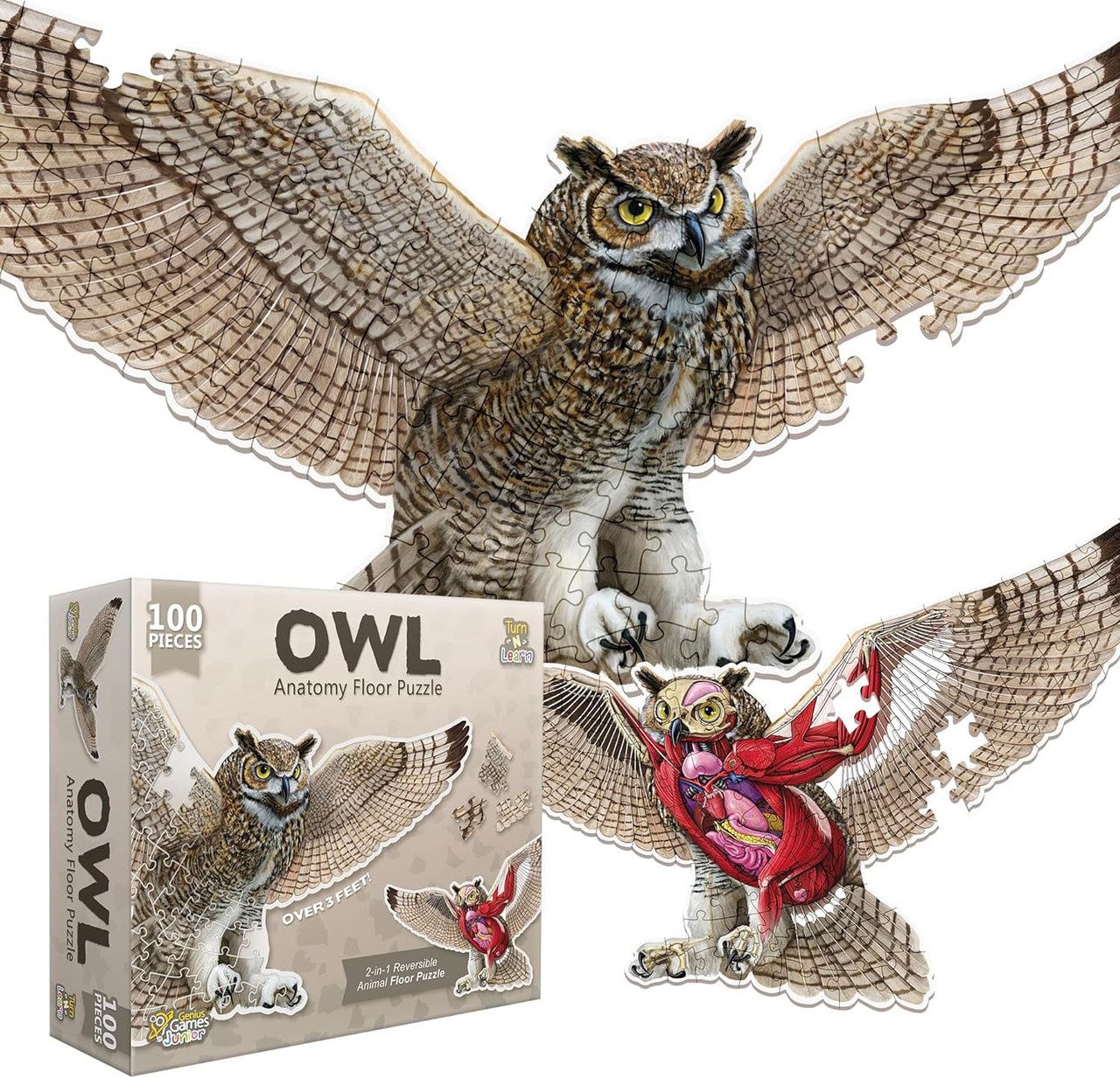 Owl Anatomy Floor Puzzle