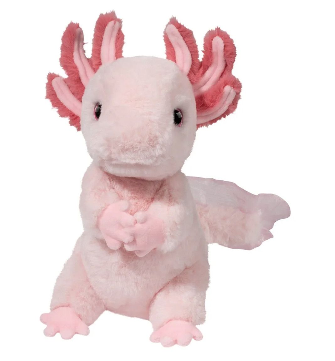 Luisa Axolotl