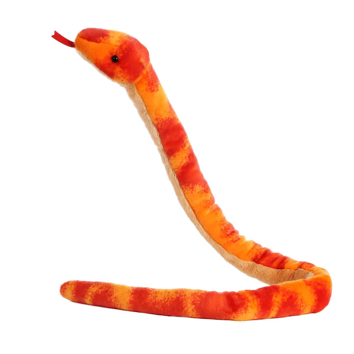 Aurora - Corn Snake