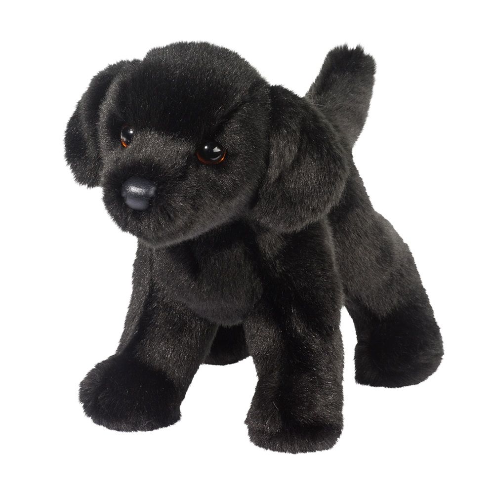 Douglas - Bear Black Lab