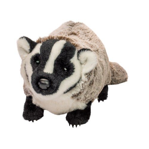 Douglas - Barry Badger