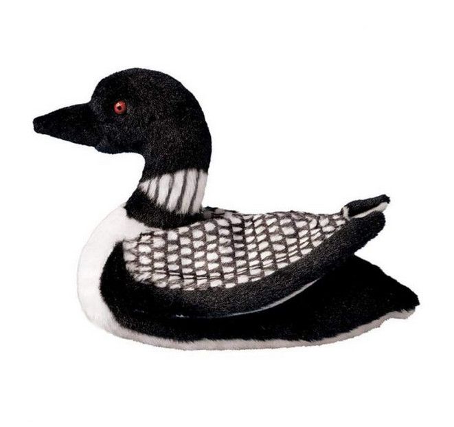Douglas - Ludwig Loon