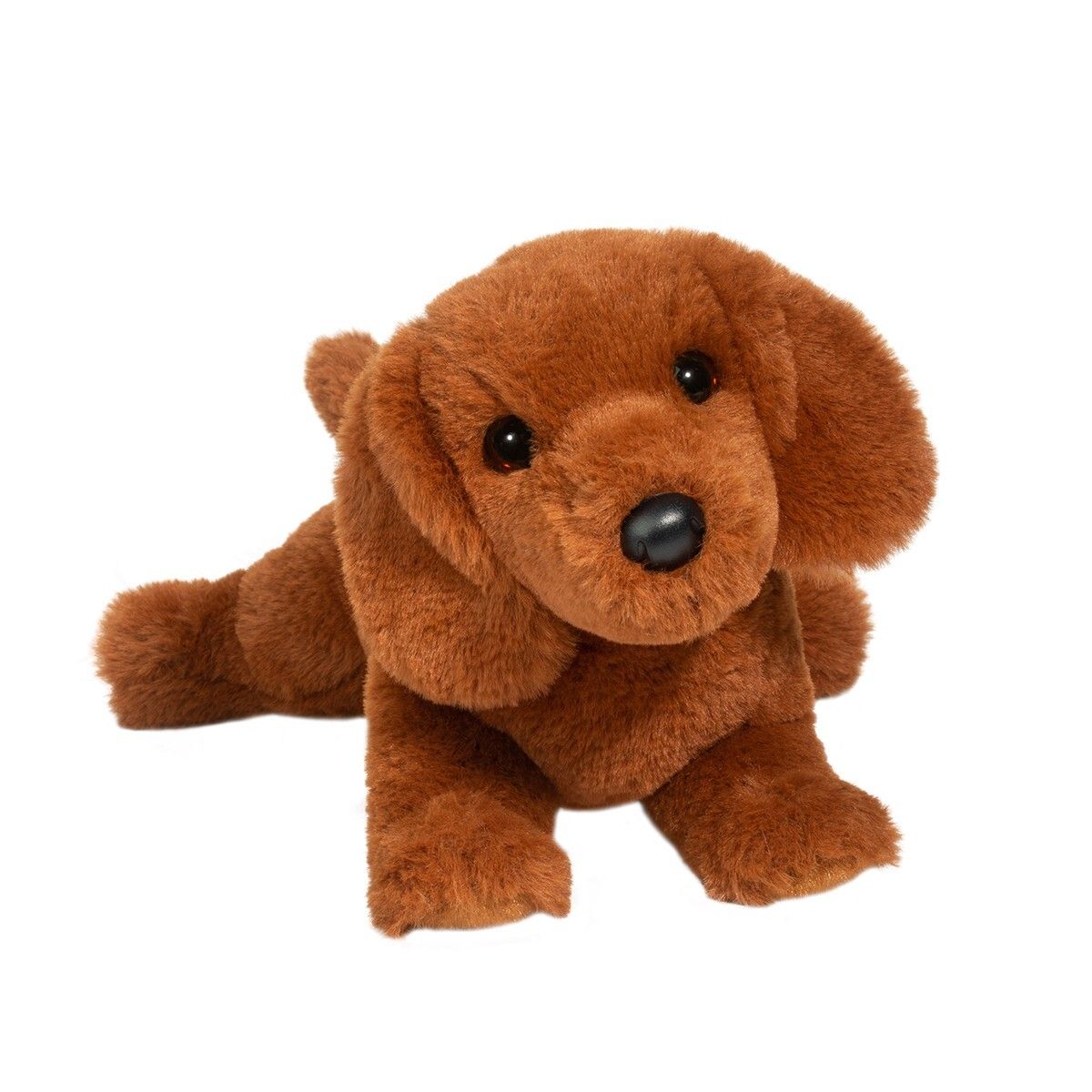Douglas - Delanie Dachshund Soft