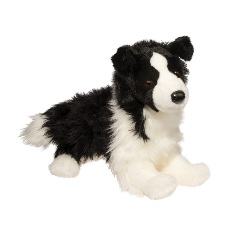 Douglas - Chase Border Collie