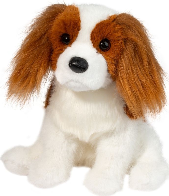 Douglas - Kingsley King Charles Cavalier