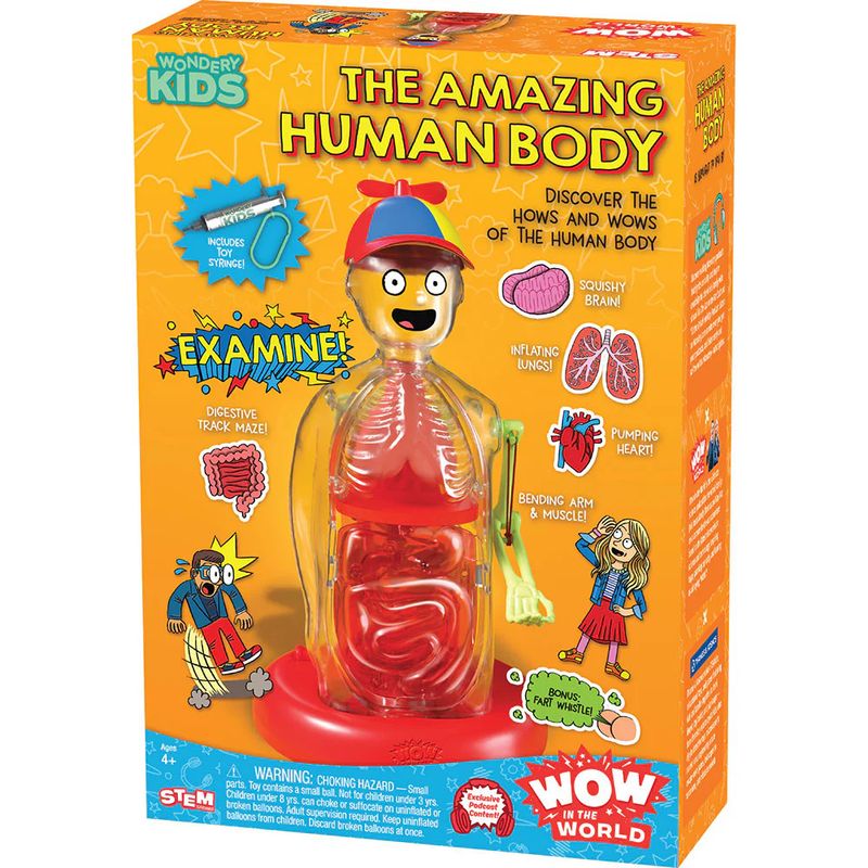 The Amazing Human kit comes with a cool interactive model.