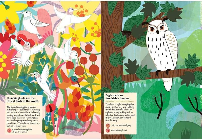 Sticker Activity Book - Birds of the World