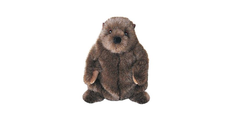 Douglas - Chuckwood Groundhog