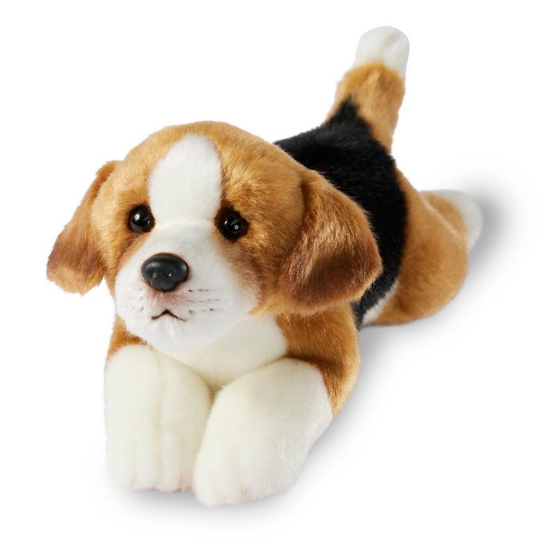 Giffa Beagle Anthony