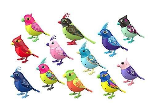 DigiBirds