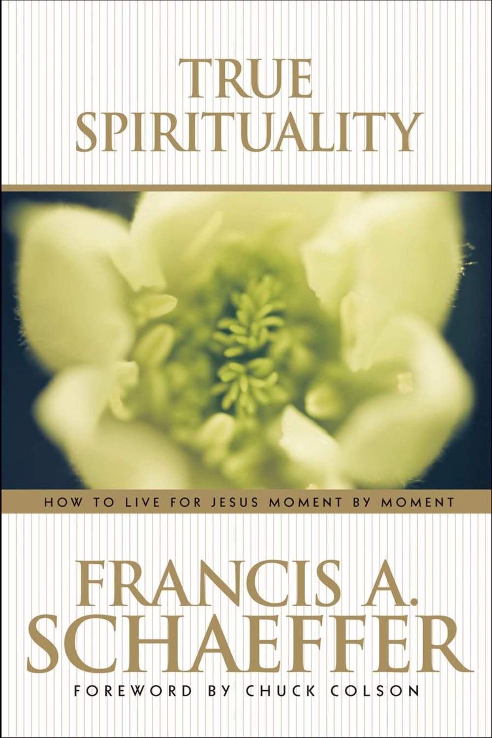 True Spirituality [Francis A. Schaeffer]
