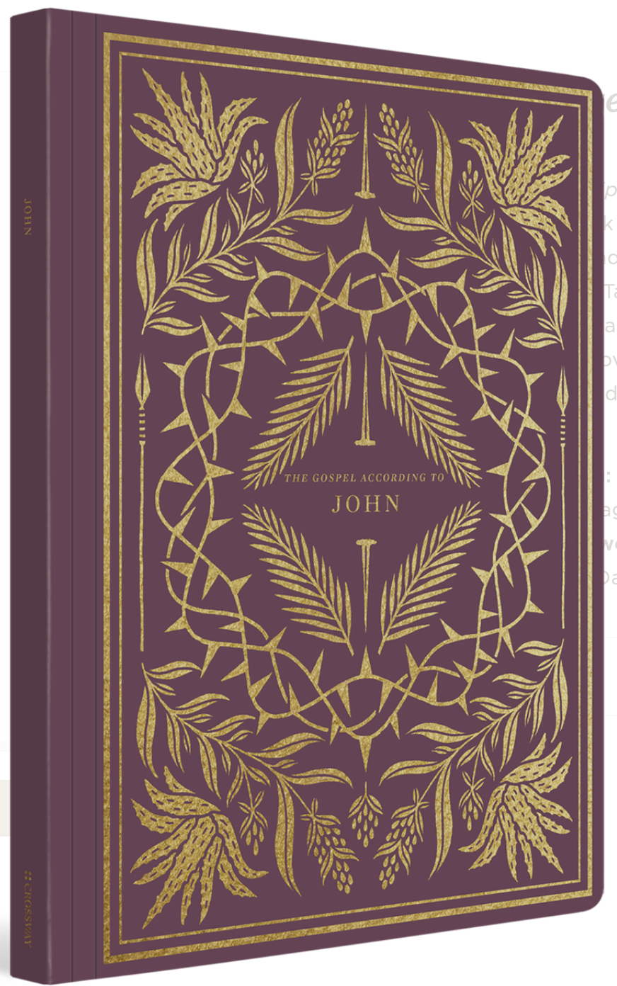 ESV Illuminated Scripture Journal: John