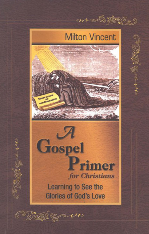 A Gospel Primer for Christians: Learning to See the Glories of God&#39;s Love