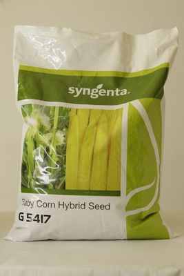 Babycorn Syn G 5417