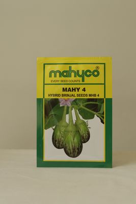 Brinjal Mahyco Mhb-4
