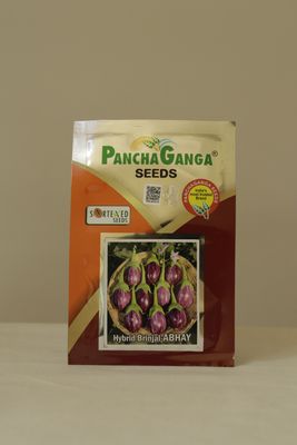 Brinjal Panchaganga Abhay