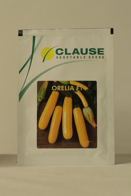 Squash Clause Orelia