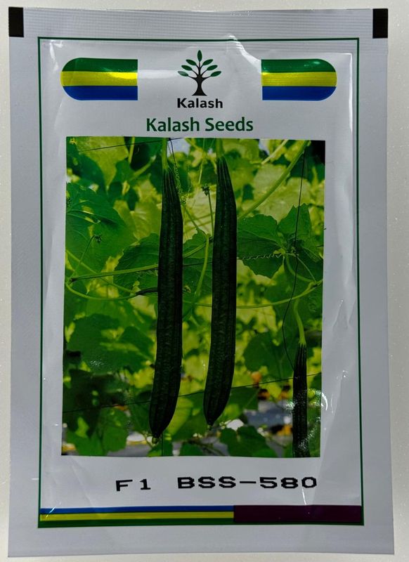 Ridgegourd Kalash Bss 580