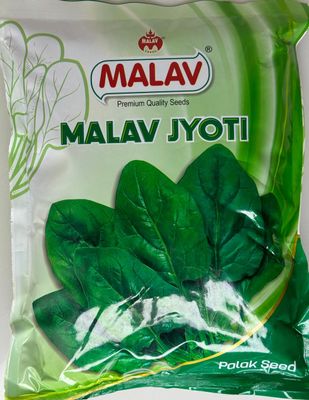 Palak Malav Jyoti All Green