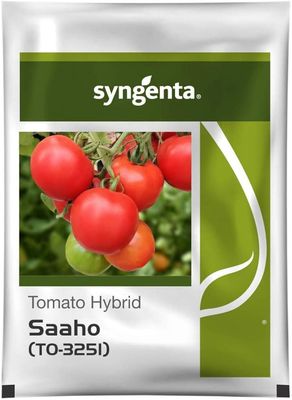 Tomato Syn Saaho