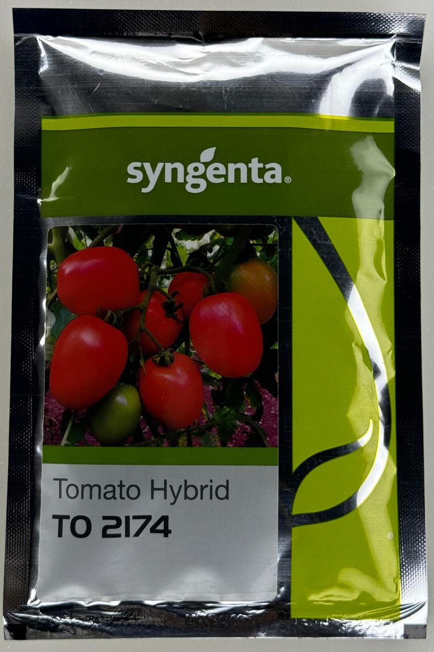 Tomato Syn To-2174
