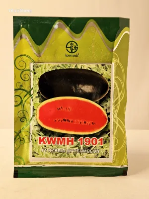 Watermelon Kaveri Kwmh 1901