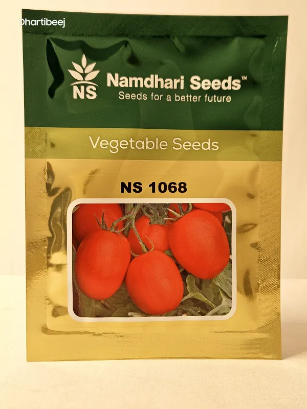 Tomato Ns 1068