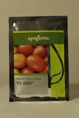 Tomato Syn 1057