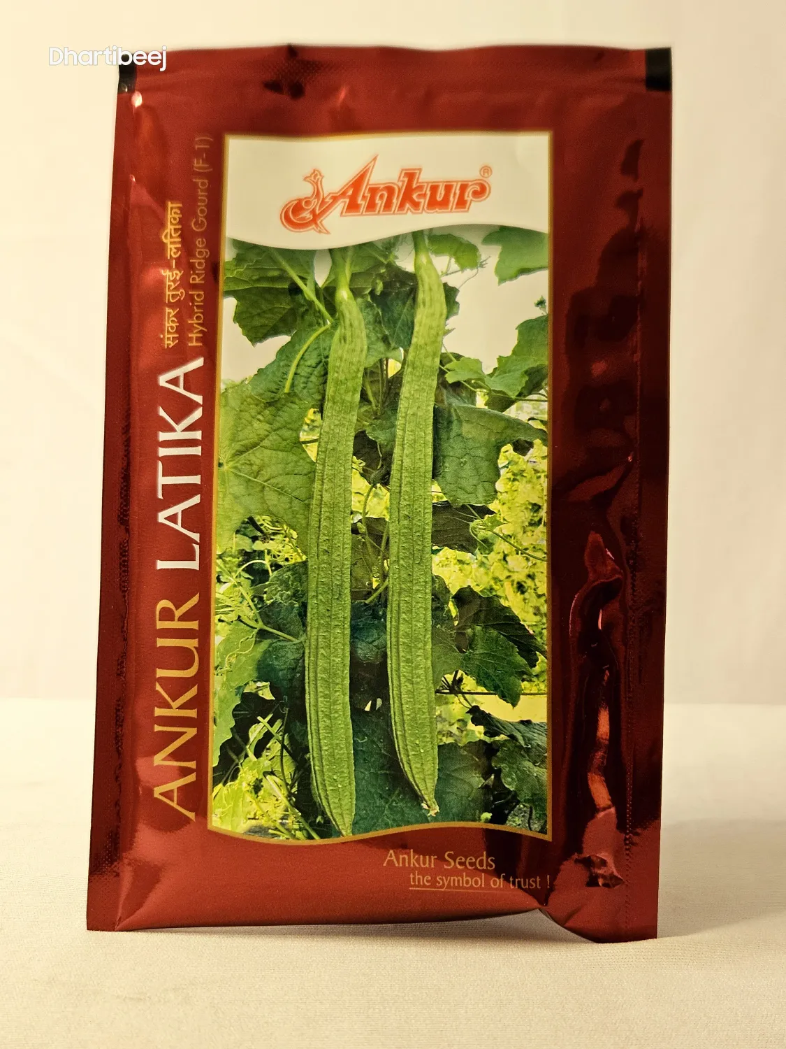 Ridgegourd Ankur Latika