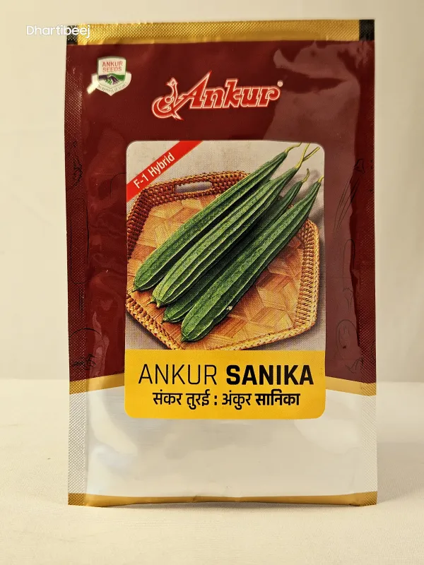 Ridgegourd Ankur Sanika