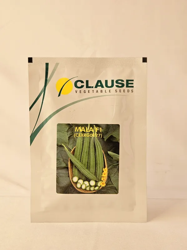 Ridgegourd Clause Mala