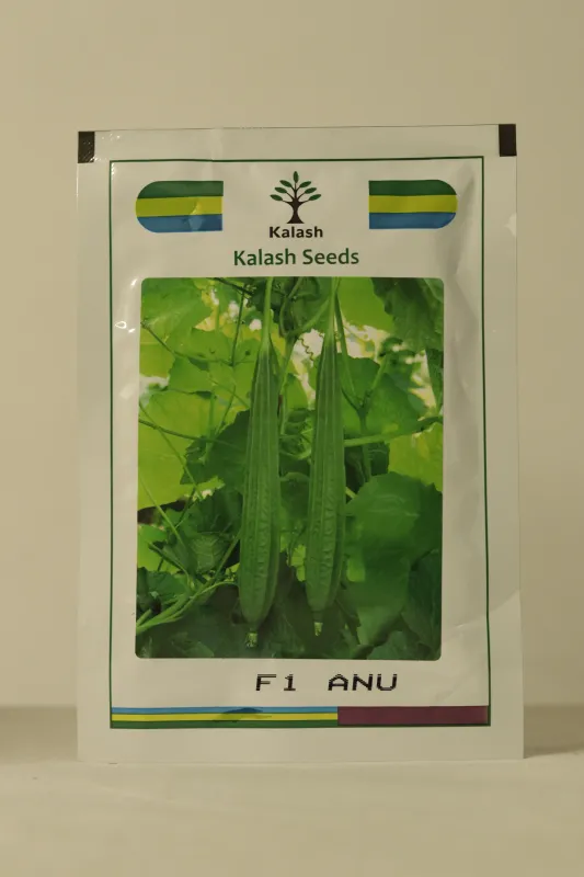 Ridgegourd Kalash Anu F1 Bss 1036