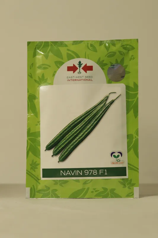 Ridgegourd East West Navin 978 F1