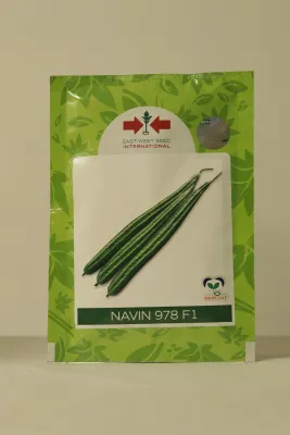Ridgegourd East West Navin 978 F1