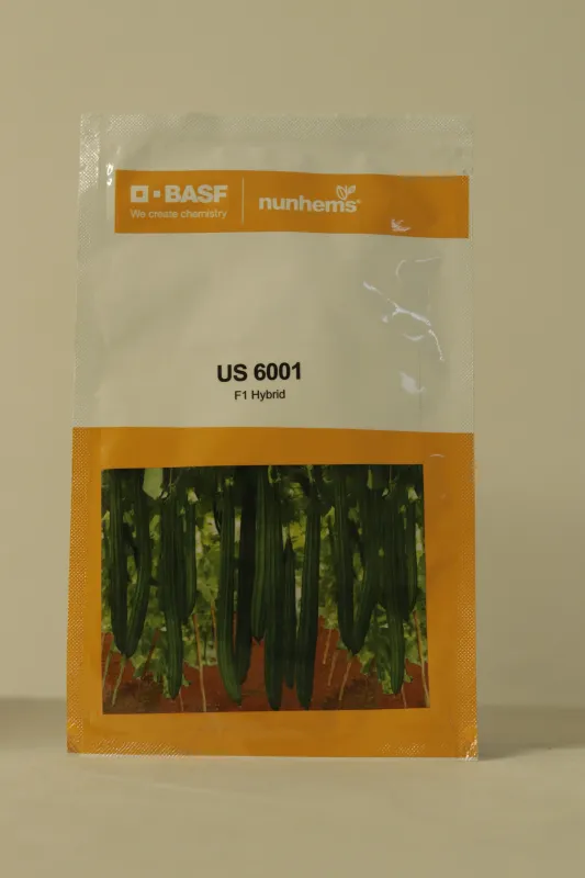 Ridgegourd Nunhems Us-6001