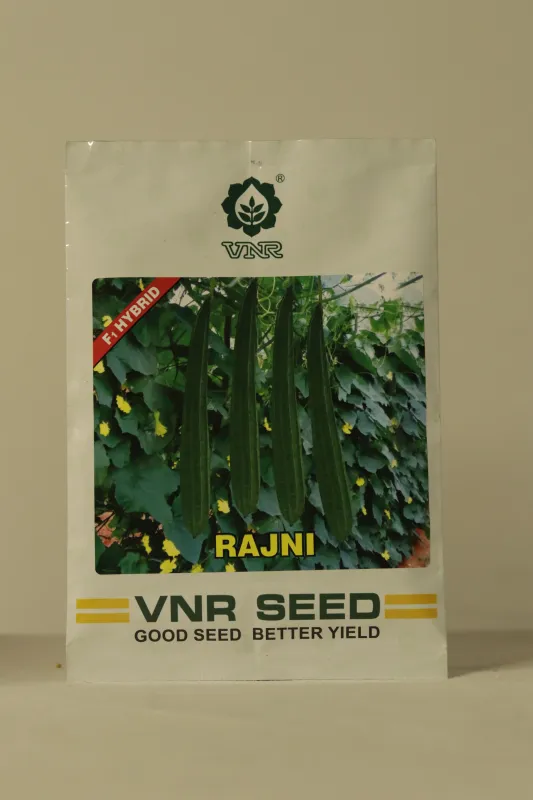 Ridgegourd Vnr Rajani
