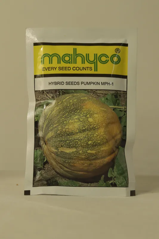 Pumpkin Mahyco Mph-1