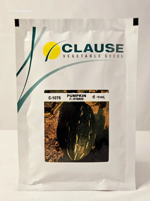 Pumpkin Clause C-1076