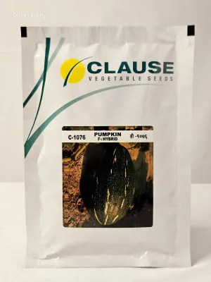 Pumpkin Clause C-1076