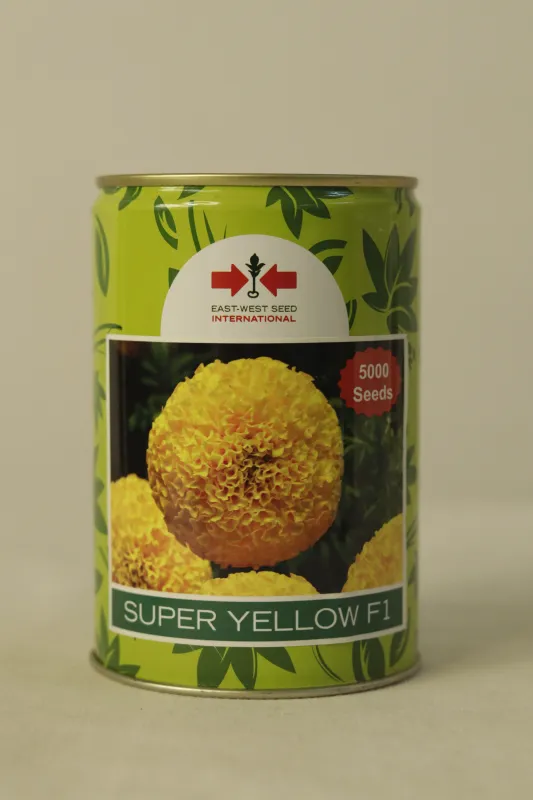 Marigold East West Super Yellow