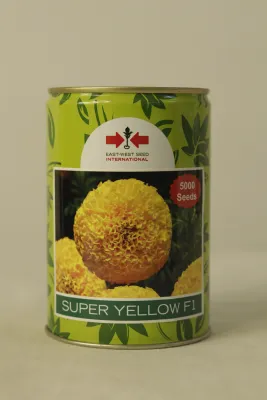 Marigold East West Super Yellow