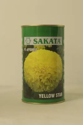 Marigold Sakata Yellow Star